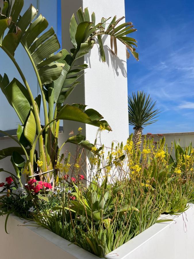דירות פולינאנו א מארה Sky Garden Locazione Turistica מראה חיצוני תמונה